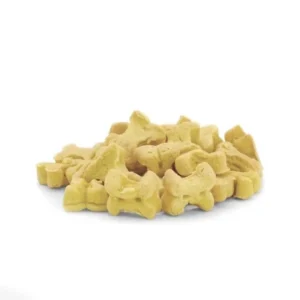 Record - BiscoRe Biscotti per Cani al Mirtillo 100 gr