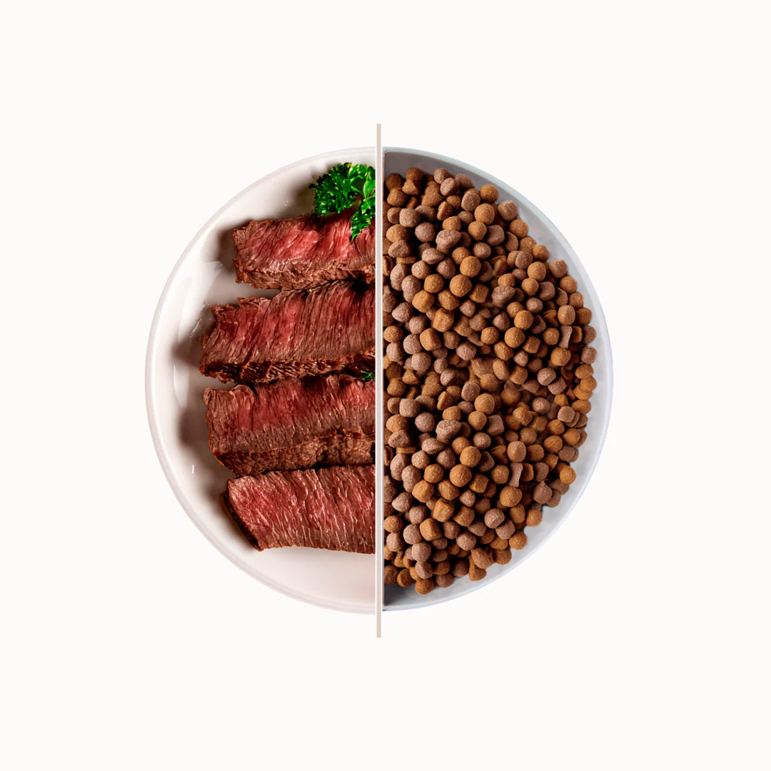 Top Cats Meat - Gusto Manzo, alimento secco adatto formulato per Gatti Adulti di tutte le razze - 20 kg - immagine 2