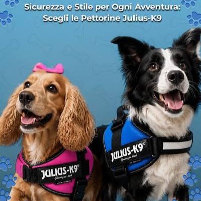 Julius-K9 Pettorina Powerharness Vari colori e taglie