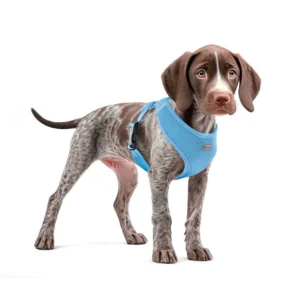 RECORD FAST DOG Pettorina Vari colori e misure