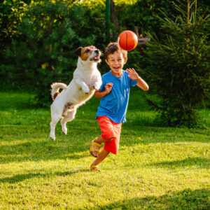 Giochi per cane